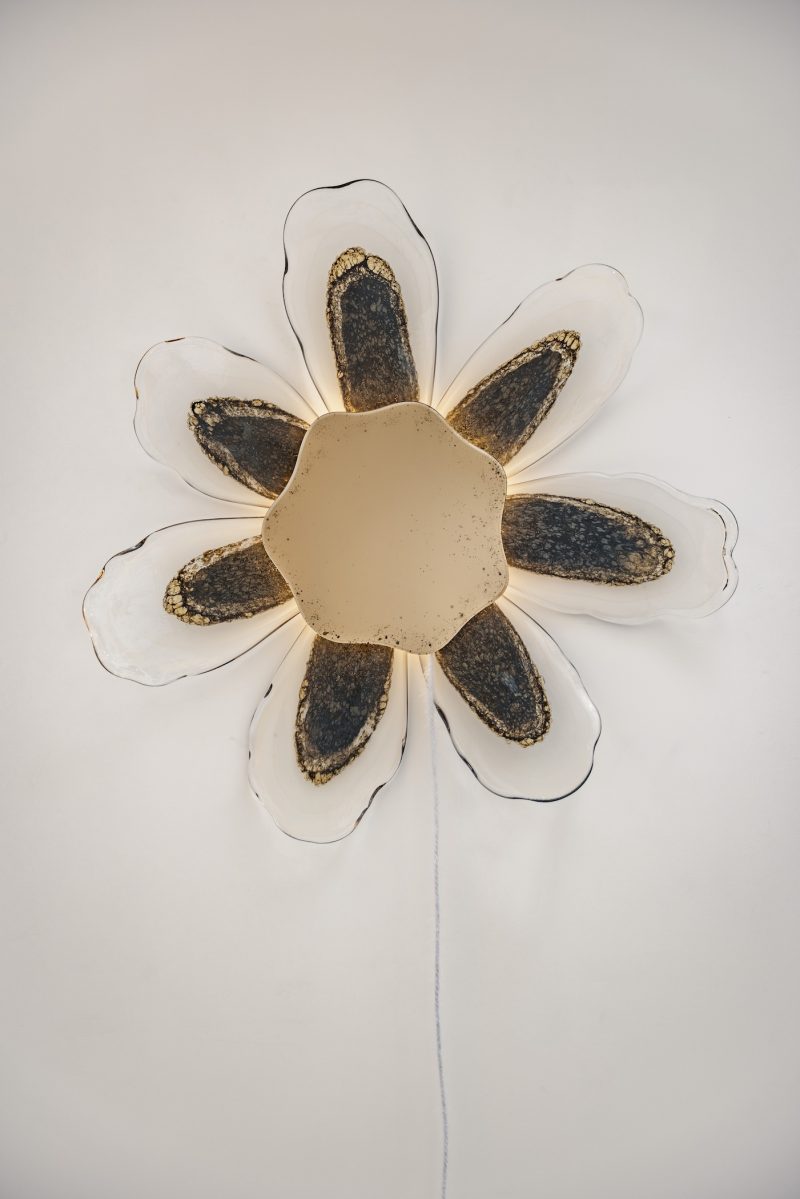 Irene Cattaneo