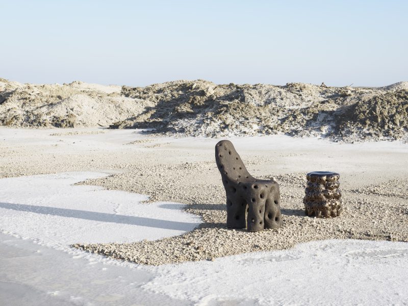La Camargue