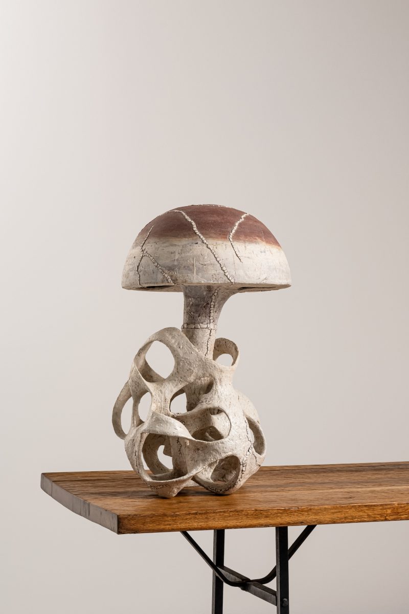 "Champignon Rouge"