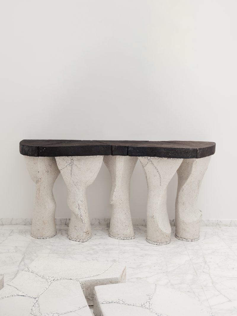 "Polypède" console