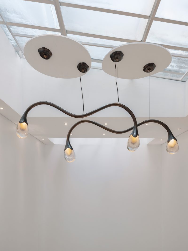 "Wild and voluptuous animals" ceiling fixture