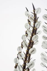 "Perles" candelabra