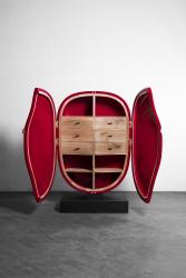 "Carapace" cabinet