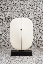 "Carapace" cabinet