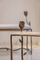 "Queen of the night" daybed